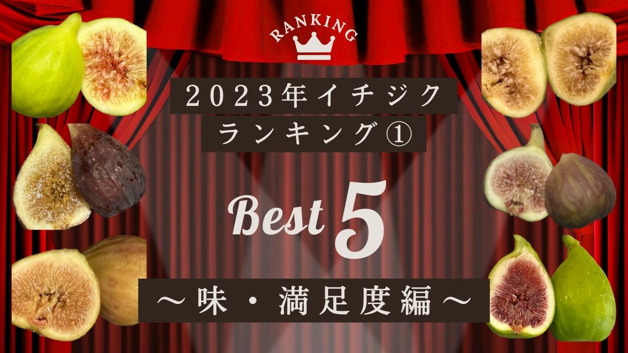 2023年】育てて分かった！イチジク21品種から選ぶ５つのランキング①【味・満足度編】 | コンテナ栽培研究所