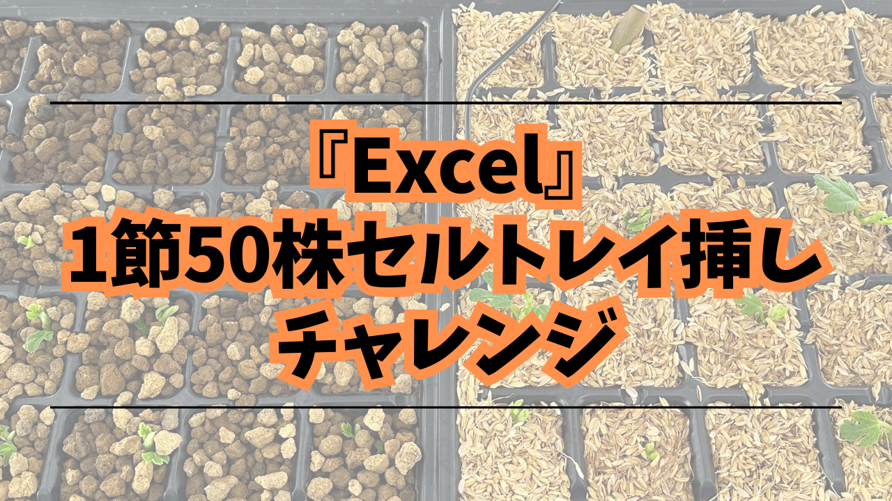 1節挿し】赤玉土と籾殻でイチジク『Excel』の挿し木始めました！〜50株